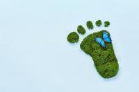 When ‘greener’ packaging has a higher carbon footprint