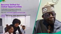 FG opens Free iDICE training for 50,000 Nigerian youths, lists requirements, deadline