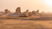 Ancient SHARK graveyard found in Egypt desert as scientists hail ‘extraordinary’ discovery with seven different species