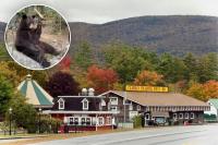 Bears, a Wolfman and a train? Only in New Hampshire.
