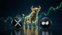 Crypto News: XRP Price Prediction Targets $2 and Moonberg's Crypto Presale Nears Stage 3