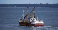 Fishers and coastal communities asked to help rewrite rules for Scotland's seas