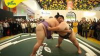 Put a Sumo on It: How Greenply Entered Advertising’s Product Torture Chamber
