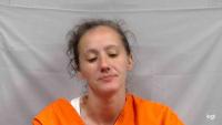 Woman Arrested After Allegedly Running Into Traffic on Wyoming County Highway