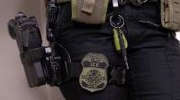 Balancing Security and Opportunity in Immigration Reform