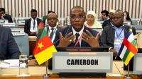Cameroon champions local Pharmaceutical production at high-level WHO Ministerial dialogue