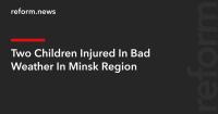 Two Children Injured In Bad Weather In Minsk Region