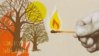 Why so many wildfires are started deliberately