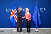 Enlargement, Kadis opens to Iceland: “EU rules could allow exemptions for a new member state”