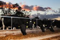 New Zealand moves to protect business with law curtailing climate litigation