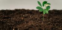 Dominica strengthens efforts to build more climate-resilient agriculture