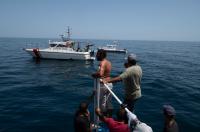 Two Bodies Recovered and About 12 Missing After Migrant Boat Capsized off Tunisian Coast