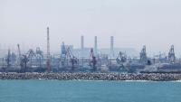 Türkiye's exports to Islamic countries jump over $345M in 7 months