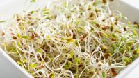 Sprouts recalled after food poisoning illnesses. See products 