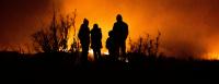 Climate Adaptation – who will we become in a warming world?