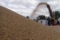 Cyprus barley yield set for sharp rise, EU forecast shows
