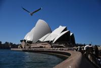 Australian PM wants to ban data centres near schools