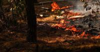 Siberian wildfires worsen air quality across Finland