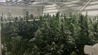 New round of Missouri marijuana microbusiness licenses to be issued