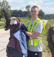 Indiana State Police rescue injured bald eagle hit by vehicle on State Road 60