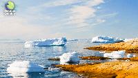 Climate change opens Arctic shipping routes as roadless forest protections face rollback