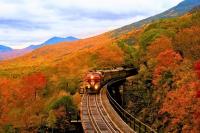 Michigan Fall Color Train Tours Worth Knowing About This October