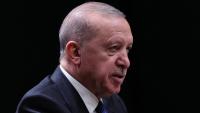 President Erdoğan, Lithuanian PM discuss defense ties, Ukraine peace