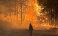 Why climate change only explains half of thenorthwest wildfire crisis