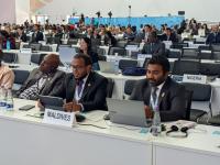 'Assistance needed to address environmental challenges'