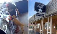 Entitled Oregon woman had huge tantrum after being told to get her dog's paws off coffee shop counter... then she got a taste of her own medicine