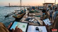Sri Lanka’s Shark Rules Need Data Enforcement And Transparency
