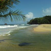 Trinidad And Tobago Regiment Soldiers Rescue Five Civilians At Blanchisseuse Beach