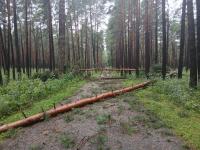 Cleanup of Rīga's parks could take a month