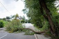 Government declares nationwide emergency over storm damage