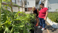 Gardening program helps people with disabilities grow food and give back to the community