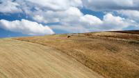 Dry soil could set the stage for Europe’s next extreme summer