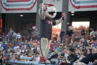 FRONTIER LEAGUE: ValleyCats’ final homestand features Daniel Tiger, music and three fireworks shows