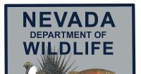 Nevada Department of Wildlife names deputy director, game division administrator