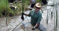 WYES’ ‘Eco Trip’ explores Louisiana coast; WNYC podcast on history of FEMA