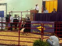 Missouri State Fair’s Sale of Champions, Best of Missouri Sale raise $384,500