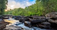 National Park Service and the University of Tennessee announce new partnership
