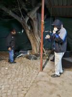 Two Mexican and three Zimbabwean nationals in court over R600 million Limpopo drug bust