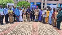 Over 60,000 transhumant animals, 2,000 herders entered Ghana from Sahel – Research