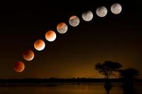 Montana's Lunar Eclipse Could Look Like A Blood Moon
