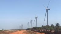Amid Sri Lanka’s green energy push, communities in Mannar fear environmental fallout