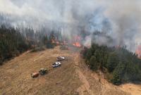 In Spain & South Africa, communities use restoration to ‘grow’ fire insurance (commentary)