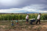 Farmers struggle to get basic services from depleted Agriculture Department