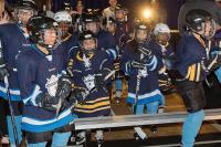 Nearly 13,000 Hockey Visors Sold at Major Retailers Are Recalled Because the Shield Can Crack on Impact