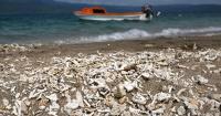 Ditching diesel could save Pacific nations almost $1b