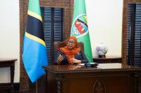 Samia, African diaspora leader discuss youth, investment in Africa’s development